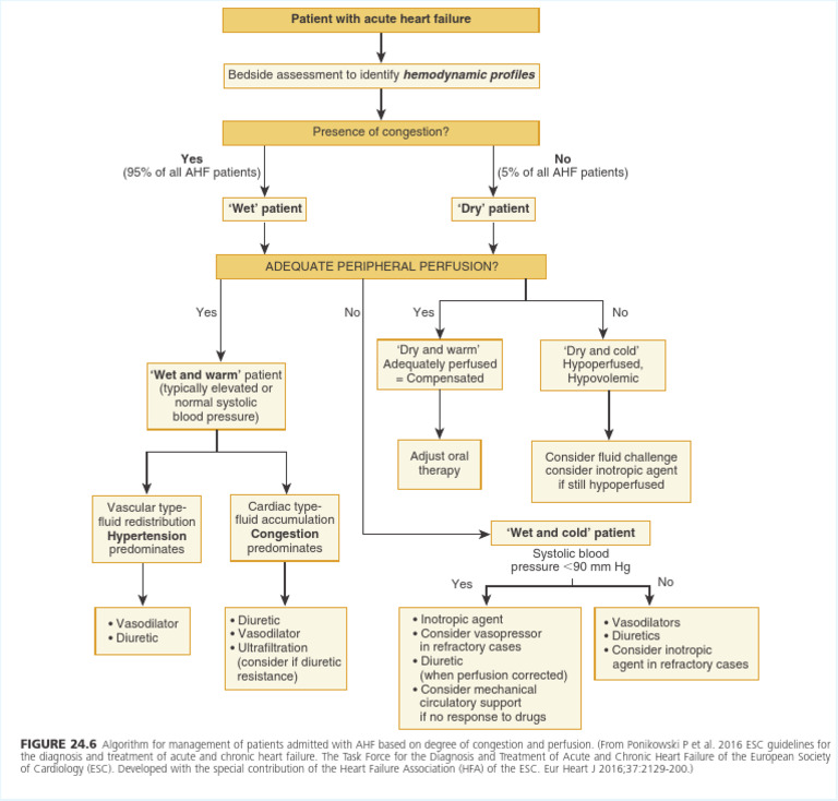 Acute Heart Failure Management Algorithm | PDF | Heart Failure | Blood ...