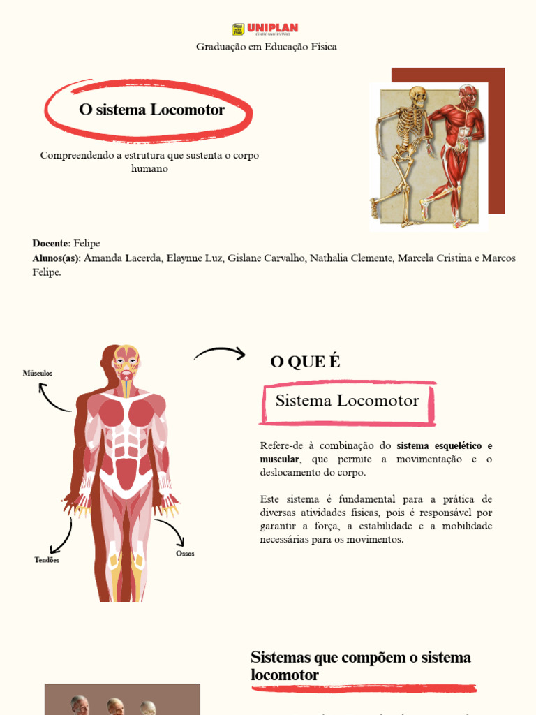 Funções e Cuidados do Sistema Locomotor | PDF | Músculo | Sistema ...