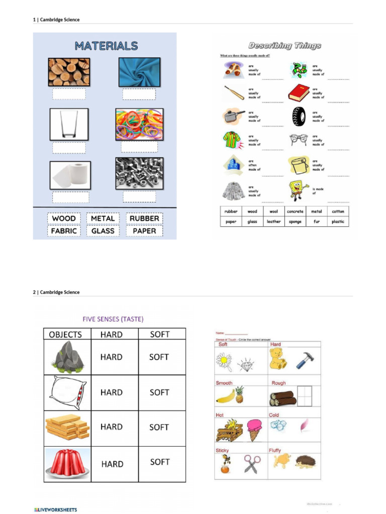 Grade 2 | PDF
