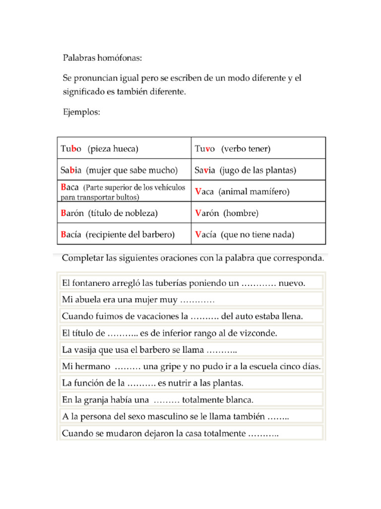 Homónimos | PDF