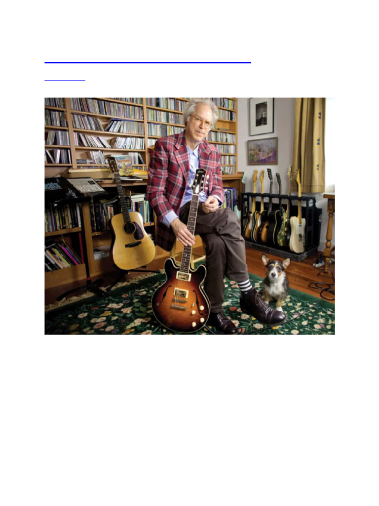 Bill Frisell's Gear and Pedalboard Insights | PDF | Guitars | Irish ...
