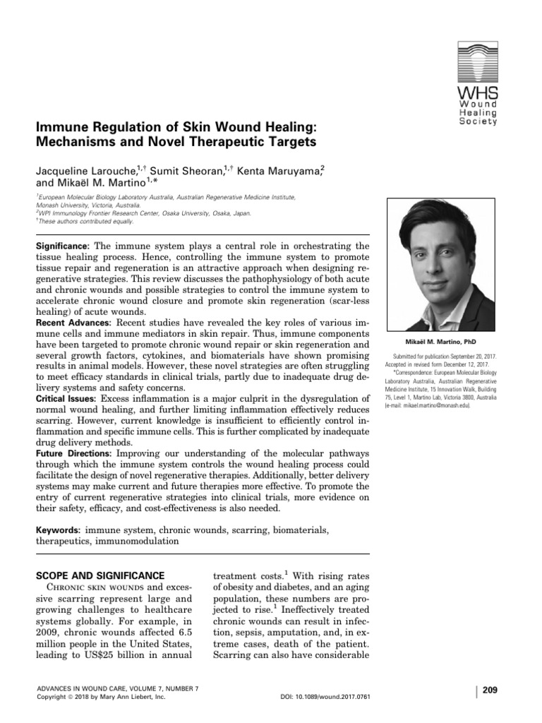 Immune Regulation of Skin Wound Healing Mechanisms and Novel ...