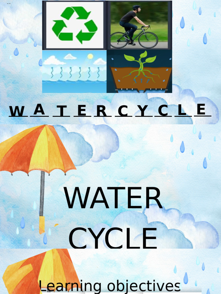 Understanding the Water Cycle Steps | PDF