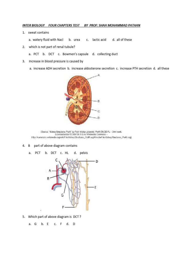 Inter Biology Test 1 | PDF | Meiosis | Mitosis