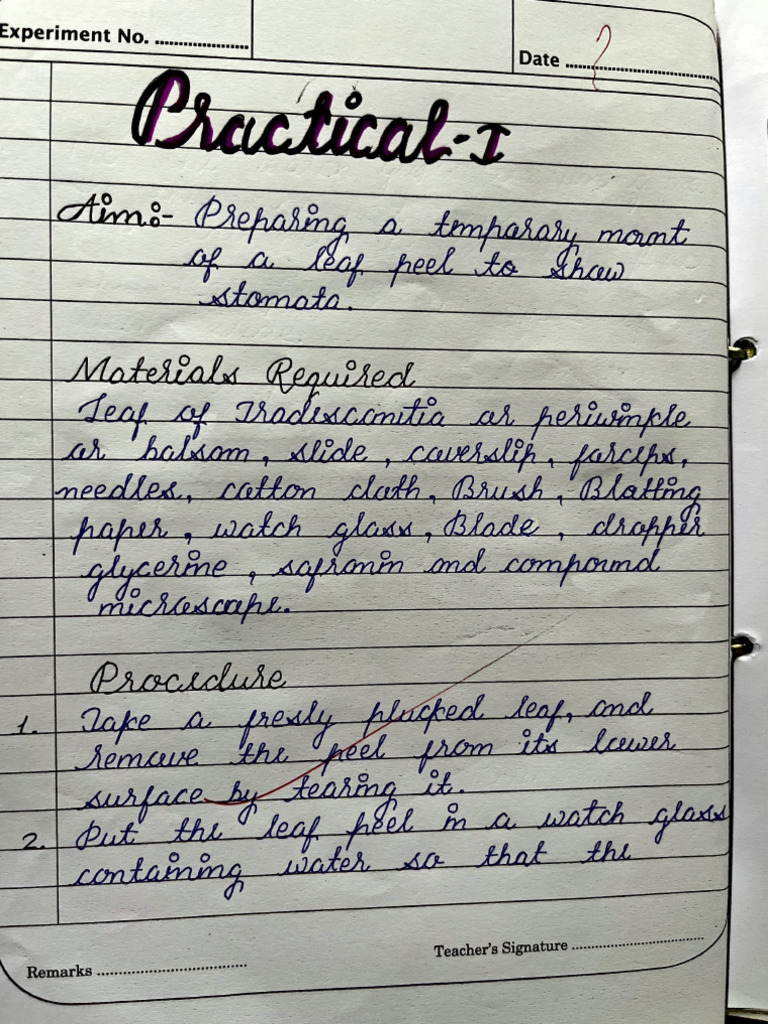 Laboratory Experiment Log Template | PDF