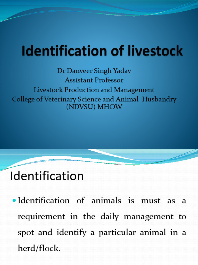 Animal Identification Methods Overview | PDF