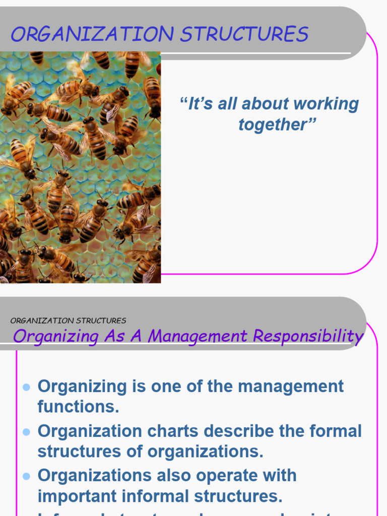 BMS Organizing - Departmentalization | PDF | Hierarchy | Social Psychology
