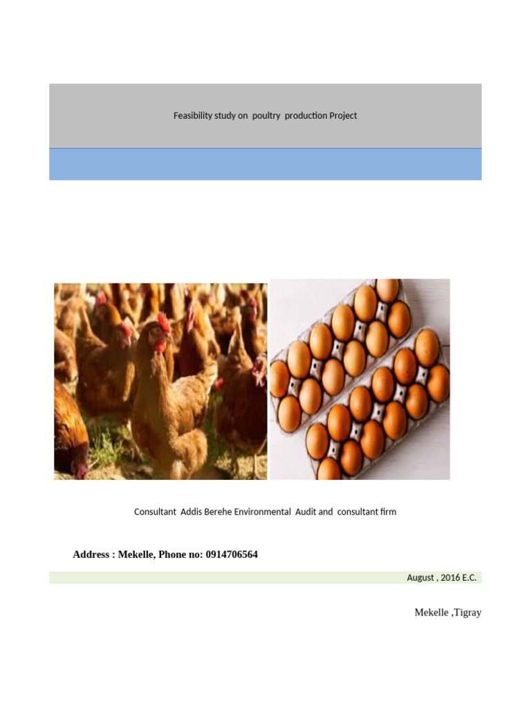 Poultry Production Project Feasibility Study | PDF | Chicken | Poultry