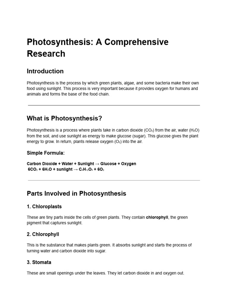 Understanding Photosynthesis Basics | PDF | Photosynthesis | Chloroplast