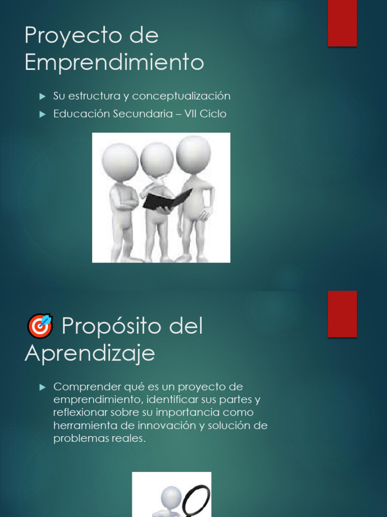 Estructura de un Proyecto de Emprendimiento | PDF