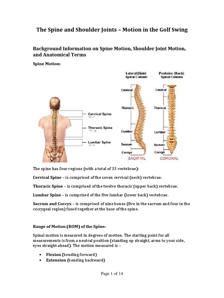 The Spine and Shoulder Joints Motion in the Golf Swing Vertebral