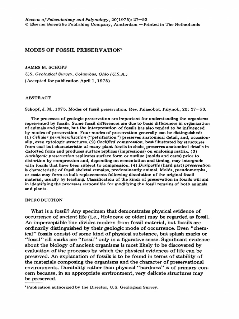Fossil Preservation Modes Explained | PDF | Fossil | Sedimentary Rock