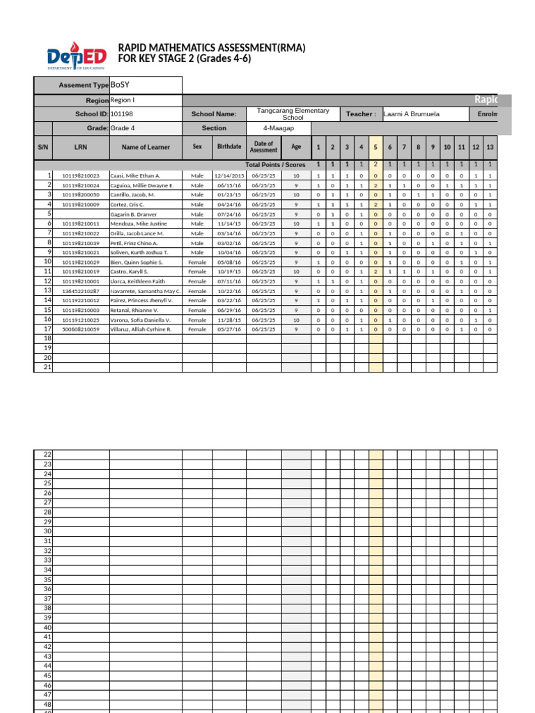 Grade 4 RMA Assessment Summary | PDF