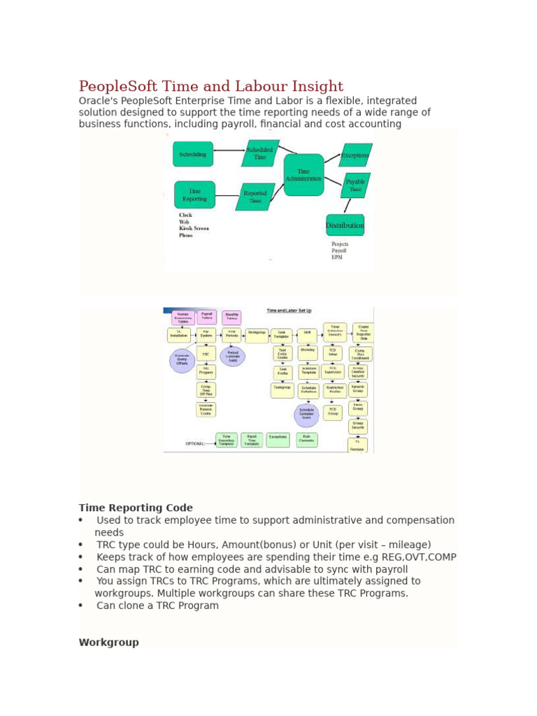 Understanding TRC in PeopleSoft Time Labor | PDF | Business