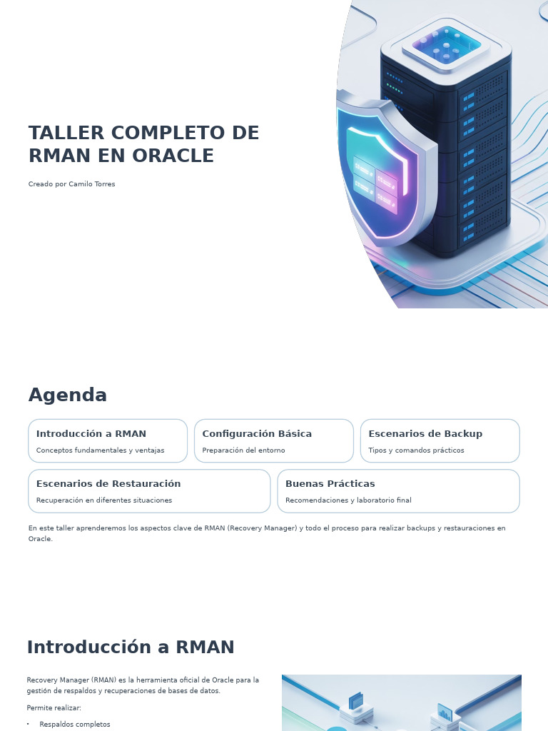 Taller RMAN: Backup y Restauración en Oracle | PDF | Apoyo | Bases de datos