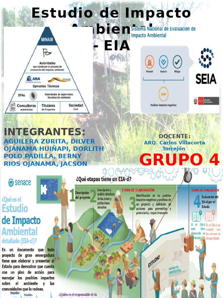 2 SEIA y EIA | PDF | Evaluación de impacto ambiental | Entorno natural