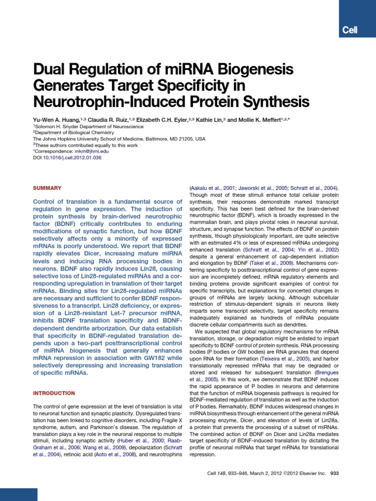 BDNF-Induced miRNA Regulation in Neurons | PDF | Micro Rna | Messenger Rna