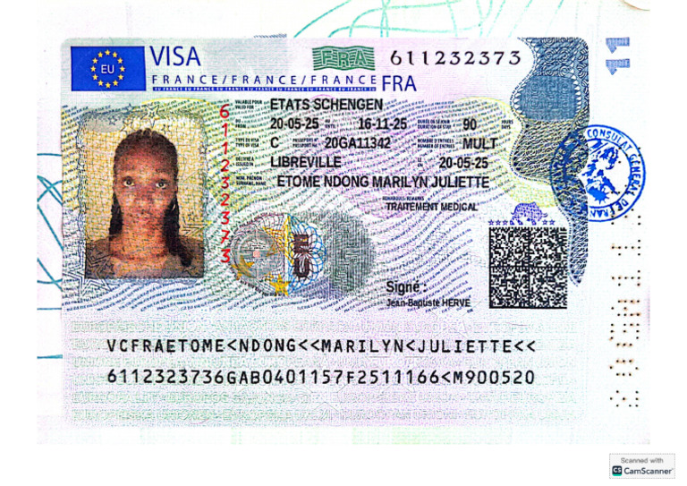 Visa | PDF