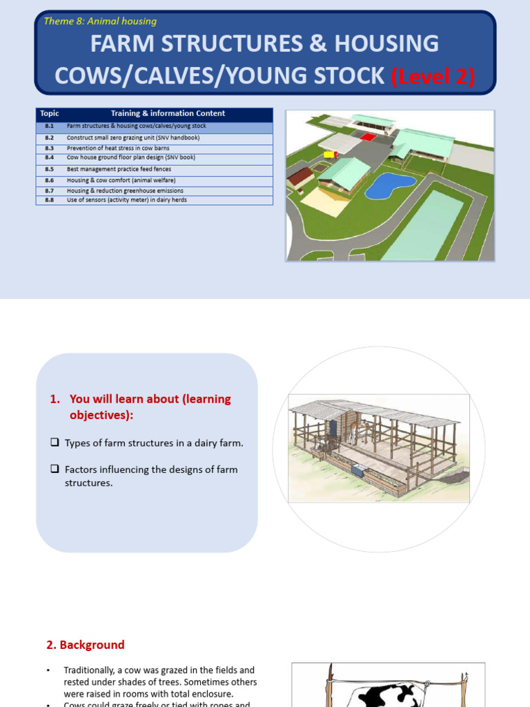 Cow Housing Structures and Designs | PDF | Dairy Farming | Cattle