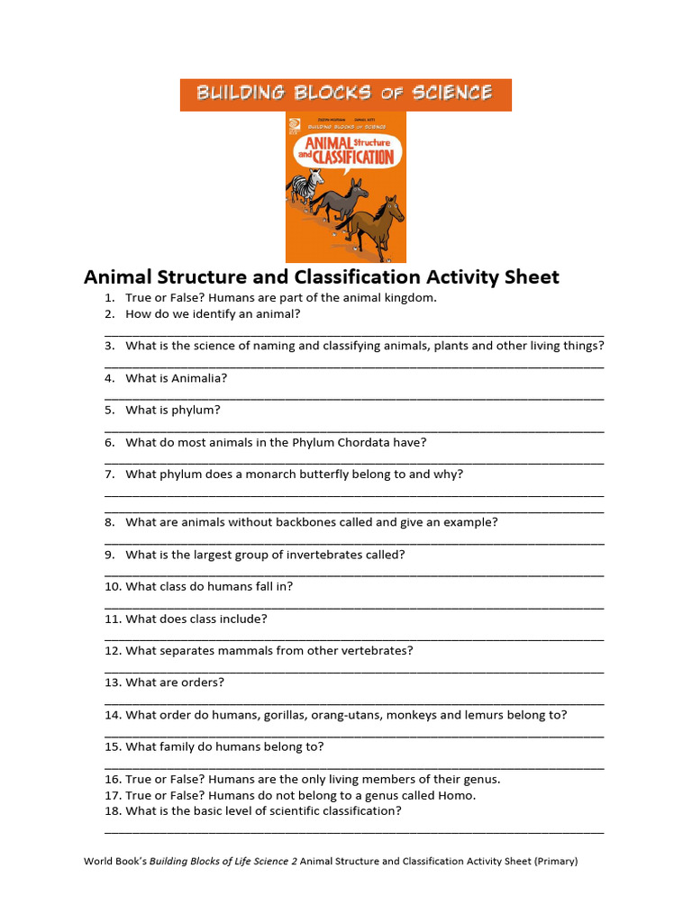Animal Structure and Classification Activity Sheet | PDF | Invertebrate ...