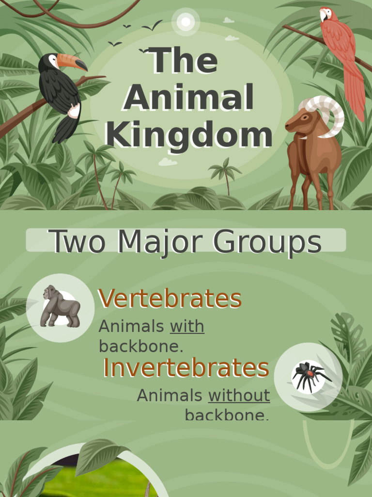 Animal Kingdom Invertebrates | PDF | Invertebrate | Mollusca