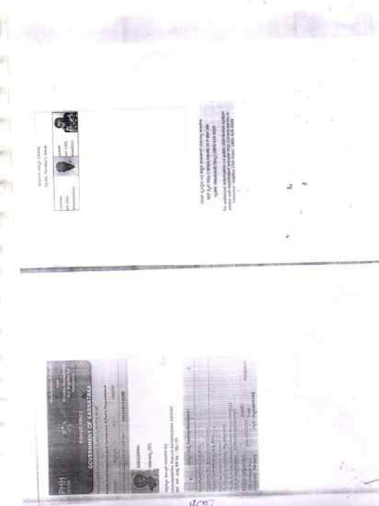 Basava Raju | PDF