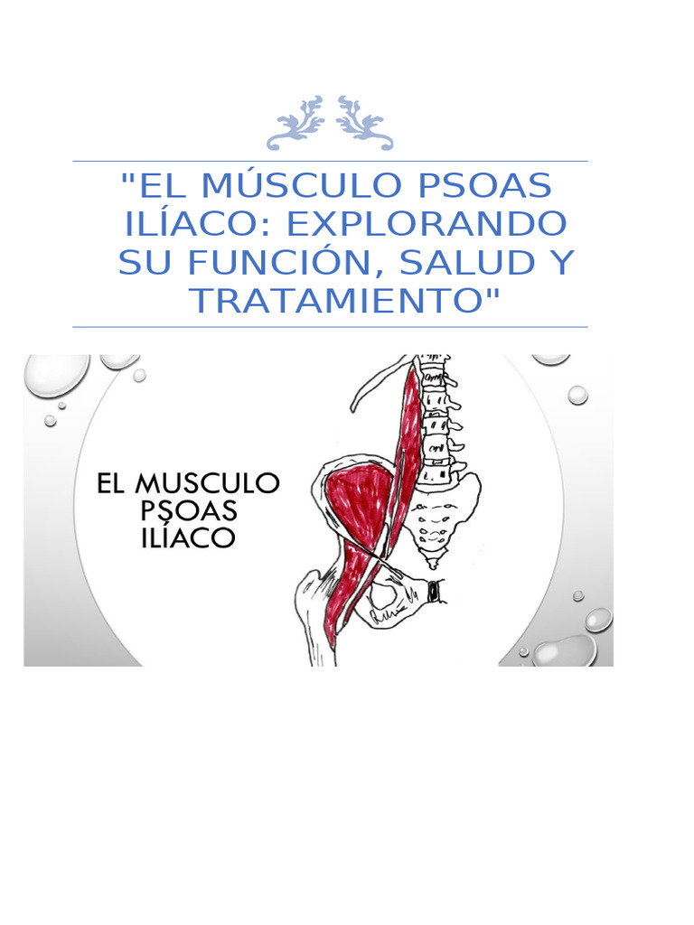 Guia Curso Psoas Iliaco | PDF | La columna vertebral | Flexibilidad ...