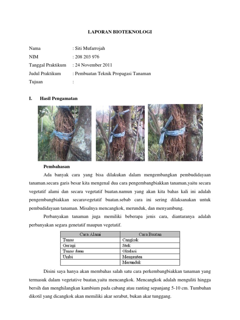 Contoh Laporan Pengamatan Tumbuhan Singkat Nusagates
