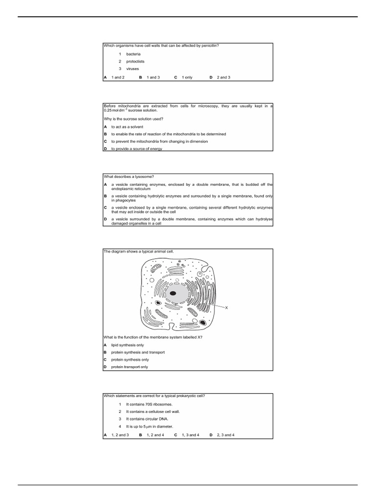 1 - Cell Structure (9700/13 - Winter - 2024 - Q37) : Cie A-Level ...