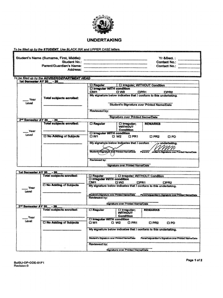 Undertaking | PDF