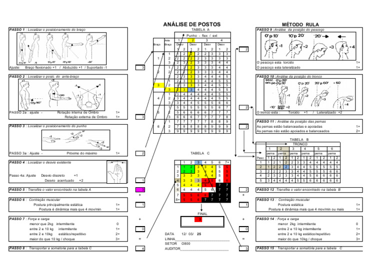 Análise Postural com Método RULA | PDF