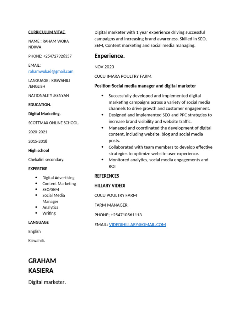 Digital Marketer CV - Raham Woka | PDF