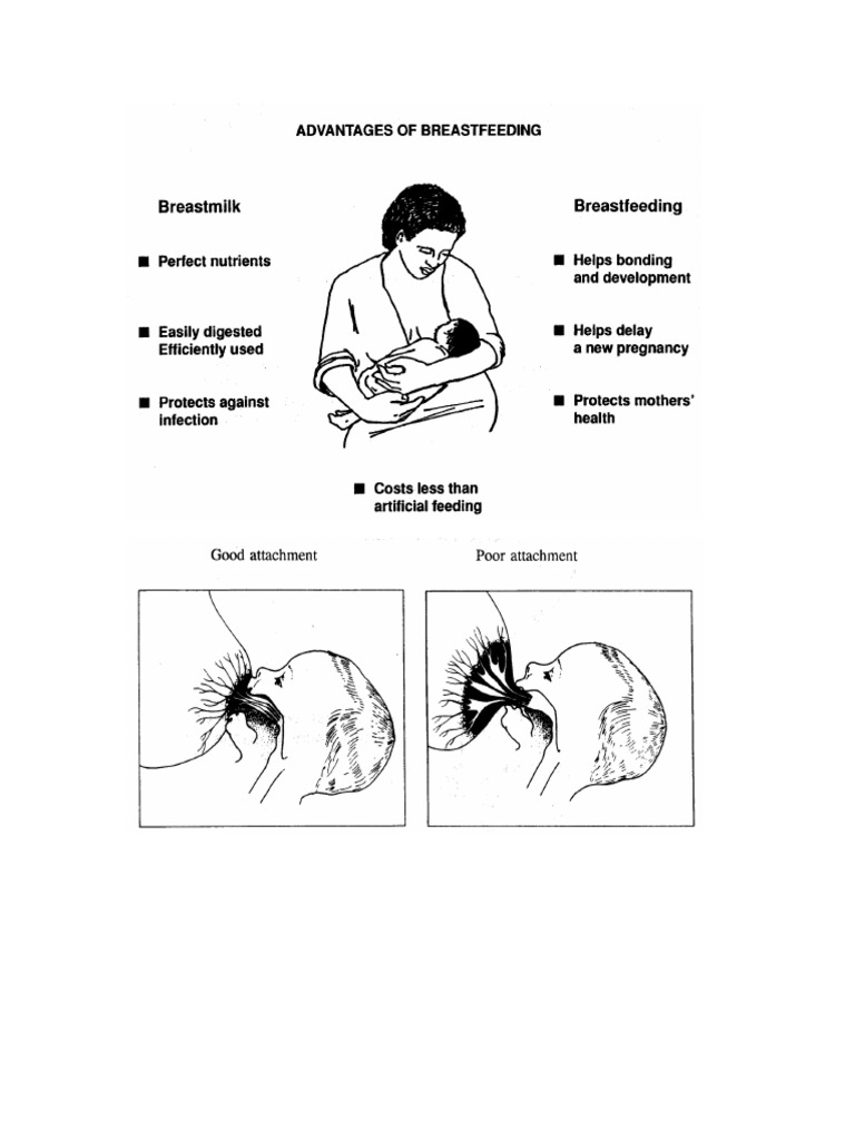 Breastfeeding Techniques and Nipple Care | PDF