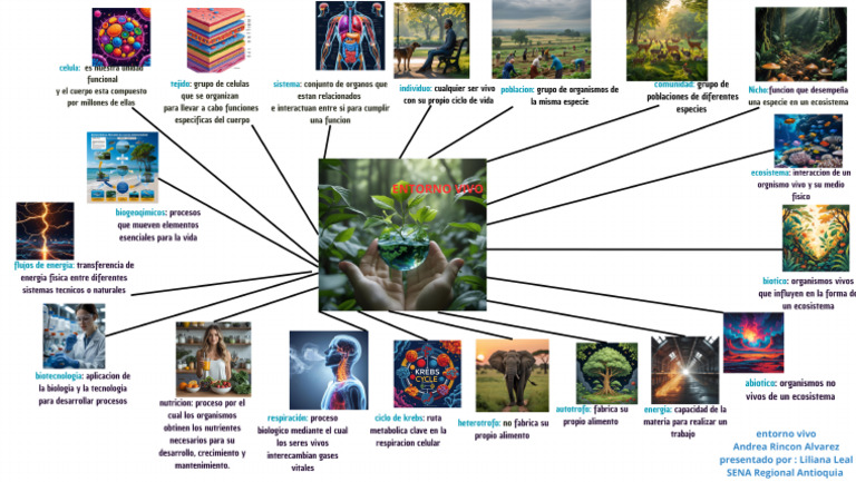Mapa Mental Con Los Conceptos Básicos Del Entorno Vivo | PDF