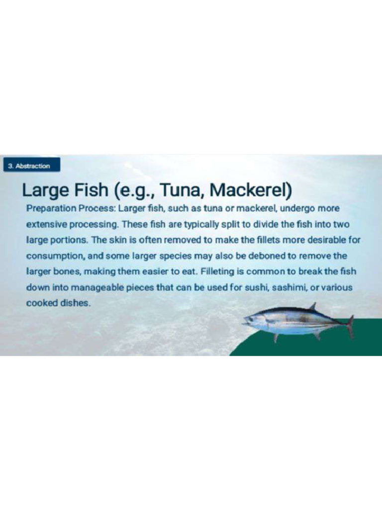 Fish | PDF