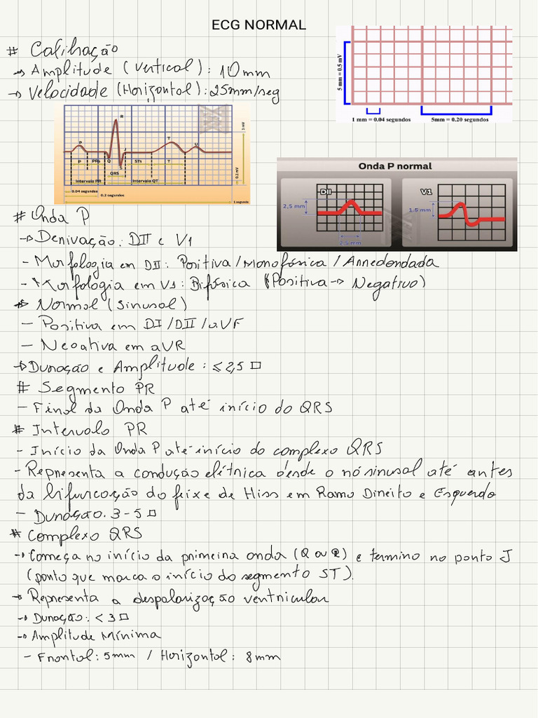 2 ECG Normal | PDF