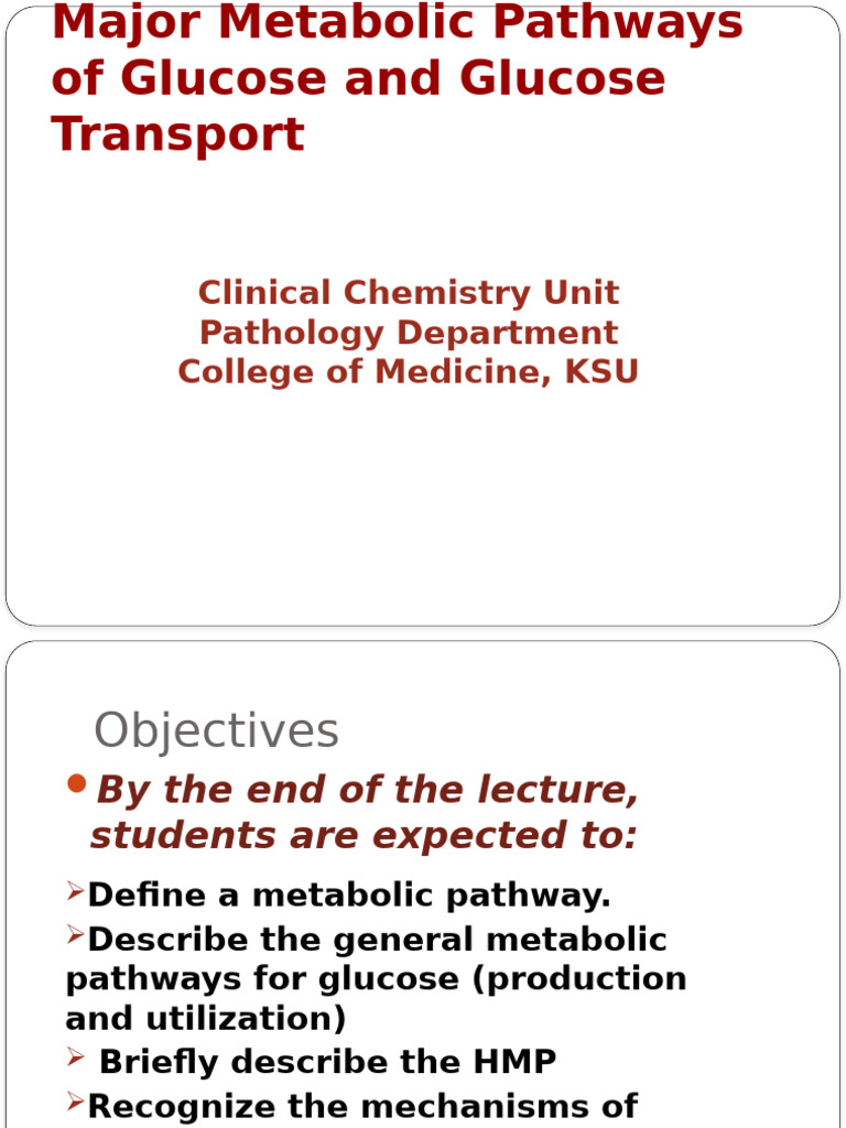 Metabolic Pathways of Glucose | PDF | Metabolic Pathway | Glycolysis