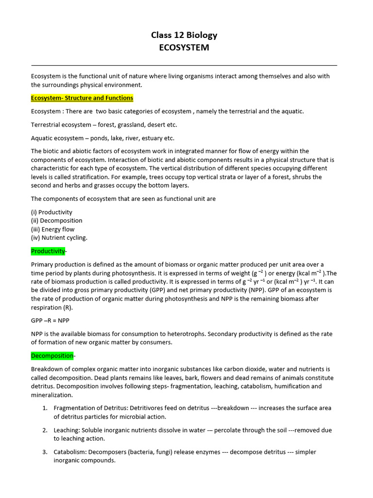 Class 12 Biology: Ecosystem Overview | PDF | Ecosystem | Food Web