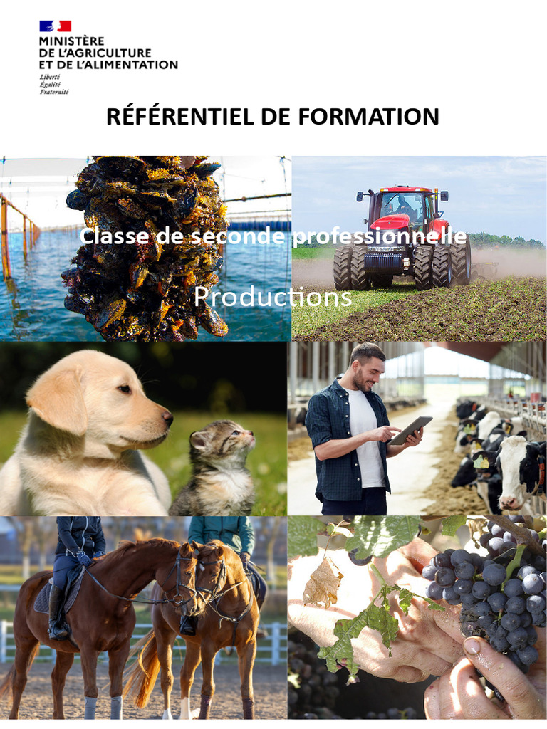Référentiel de Formation Seconde Pro Productions | PDF | Horticulture ...