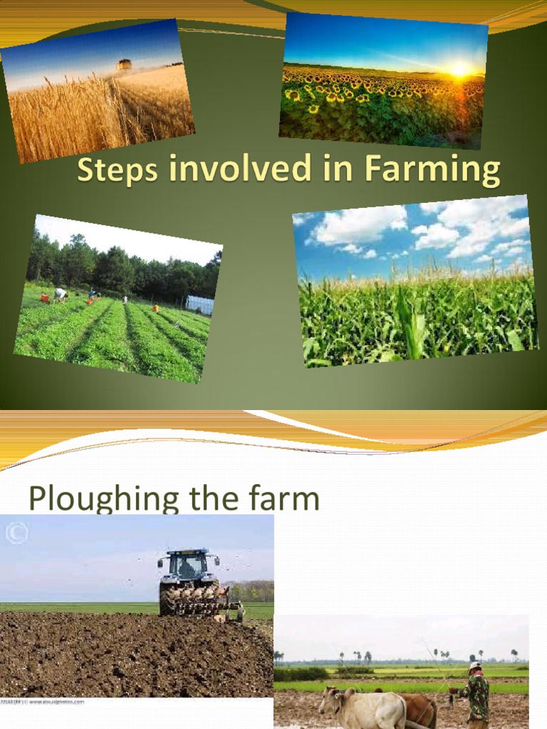Steps Involved in Farming | PDF