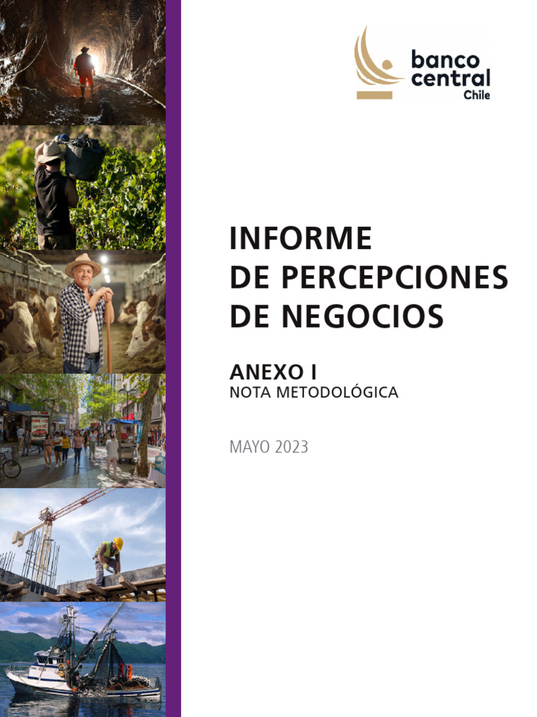 Metodología Encuesta Percepciones Negocios | PDF | Índice de precios al ...
