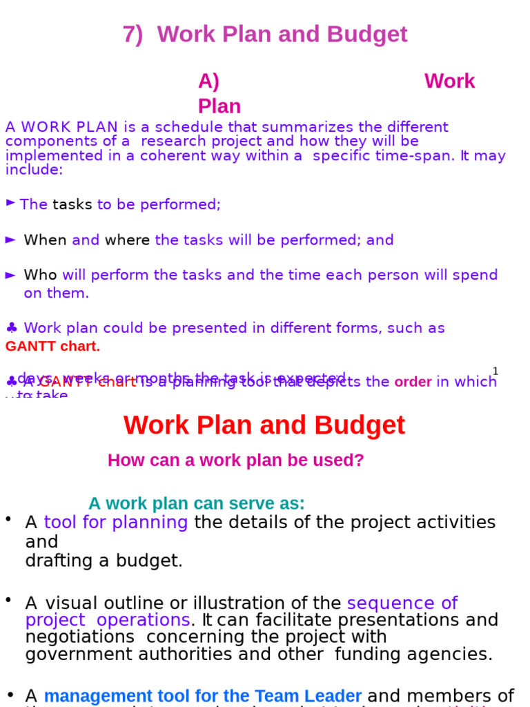 Work Plan and Budget for Research Projects | PDF | Budget