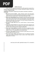 Maize Morphology and Growth Stages | PDF | Maize | Leaf