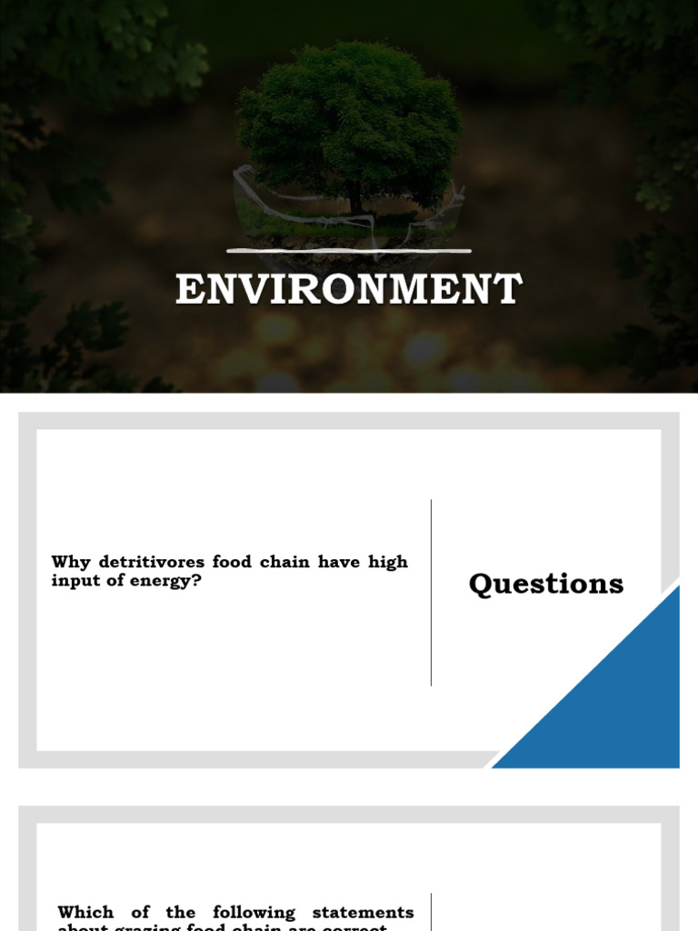 Ecology and Wildlife Conservation Quiz | PDF | Food Web | Foods