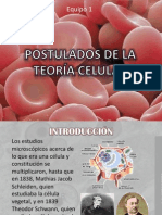 Exposicion Postulados