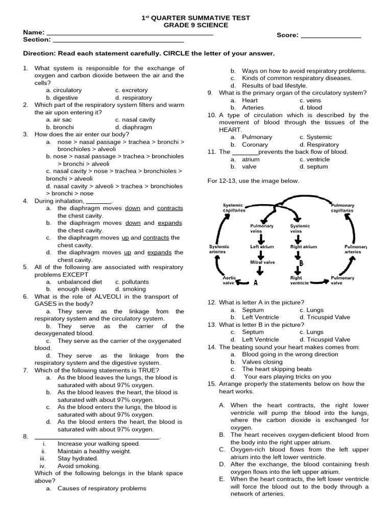 Grade 9 Science 1st Quarter Test | PDF | Dominance (Genetics ...