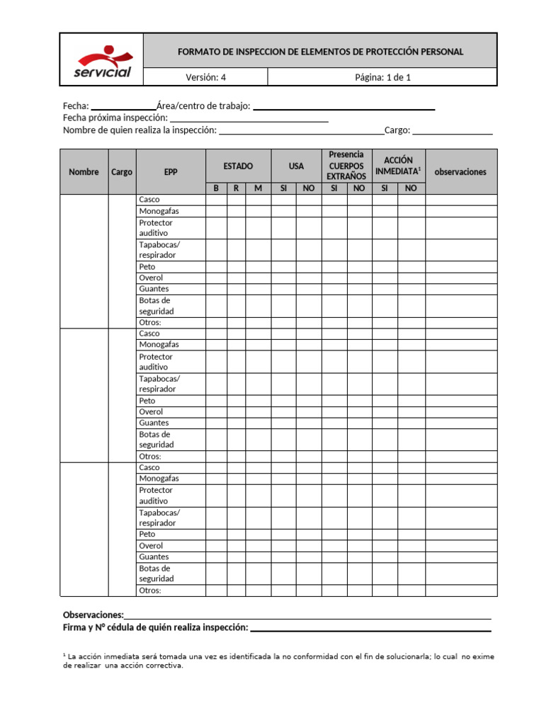 Formato de Inspeccion de EPP PDF | PDF