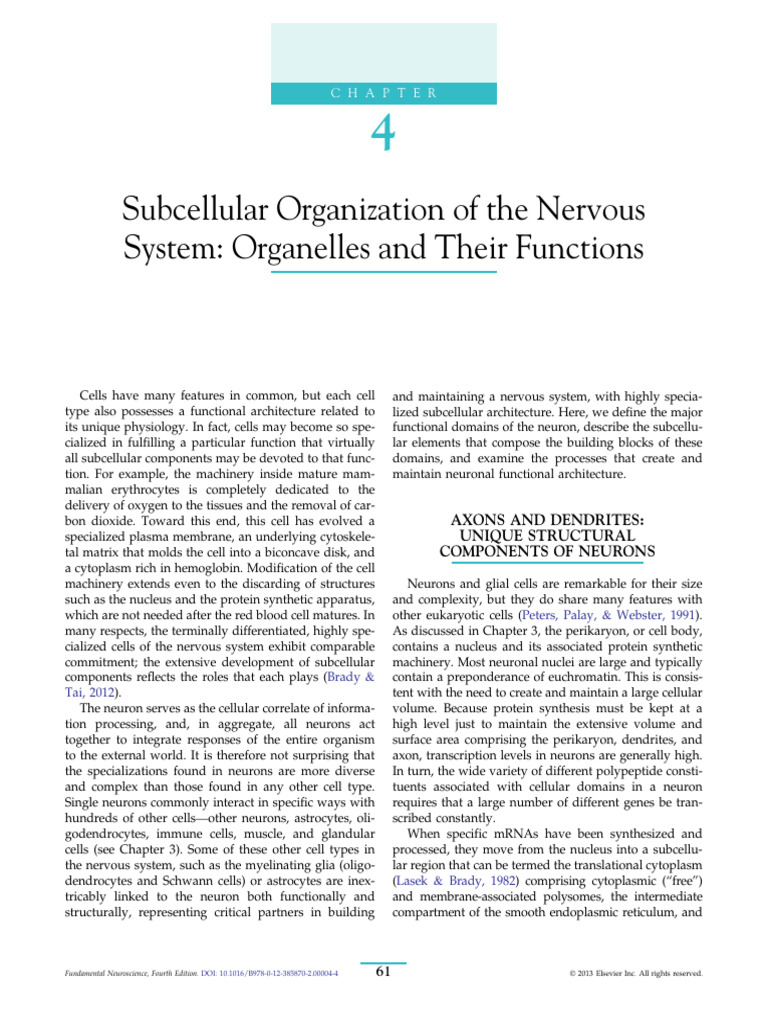 Chapter 4 Subcellular Organization of The Nervous Syst 2013 Fundamental ...