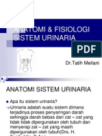 Anatomi & Fisiologi Sistem Urinaria