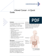 About Bowel Cancer - A Quick Guide